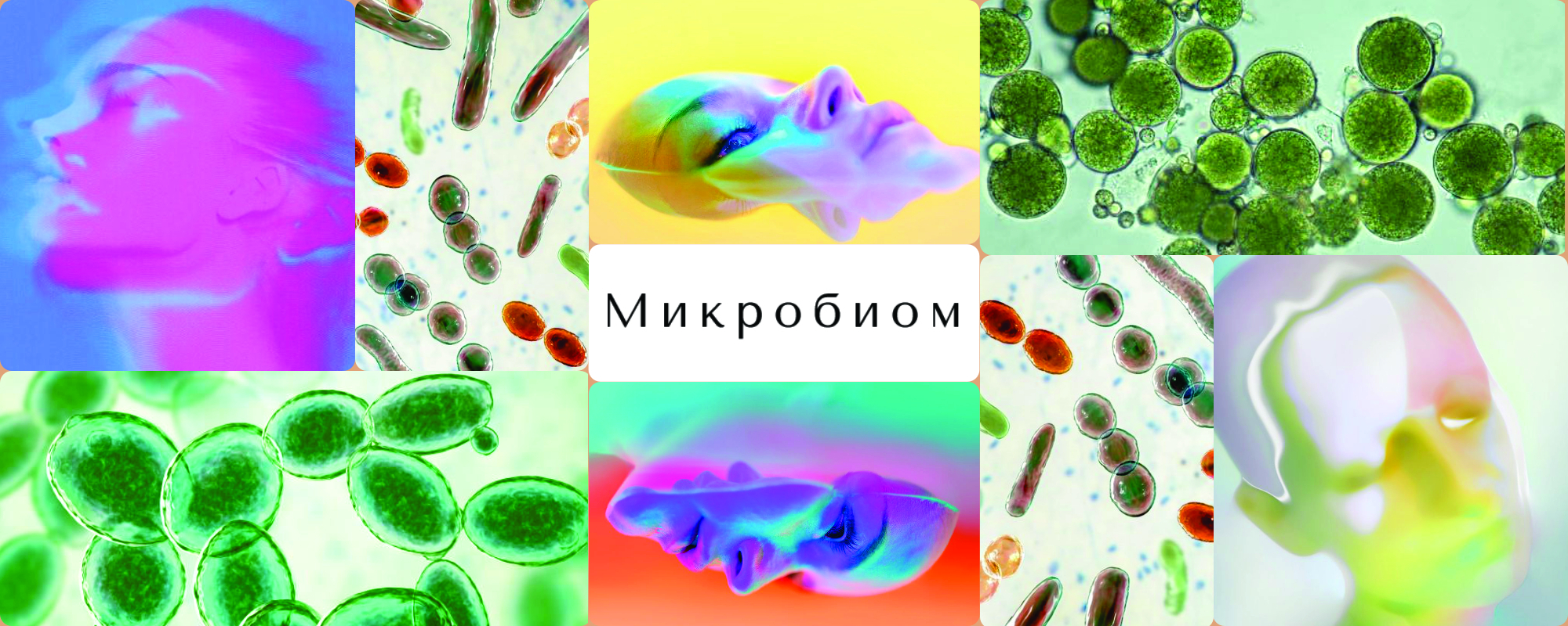 Что такое микробиом кожи и как его восстановить?