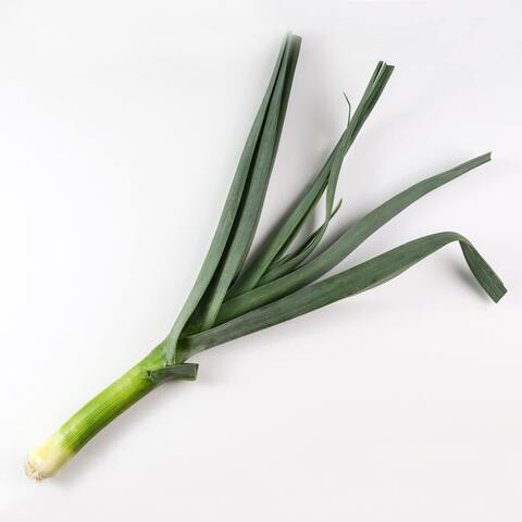 Лук порей