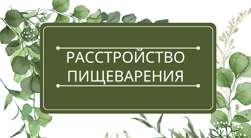 Расстройство пищеварения: помощь эфирных масел
