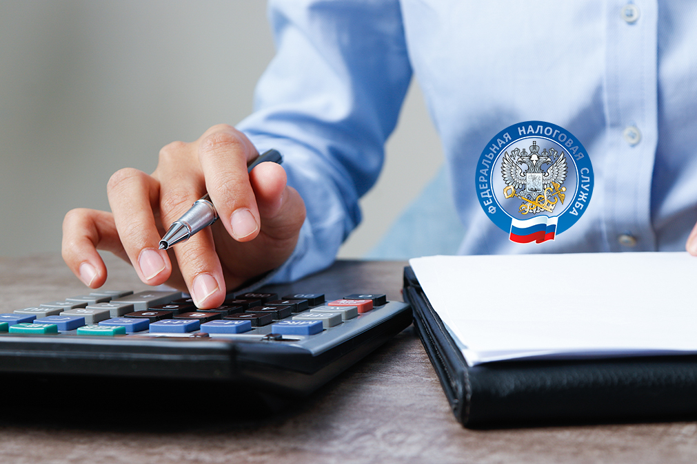 Налоговые проверки в 2024 году Налоговые проверки в 2024 году