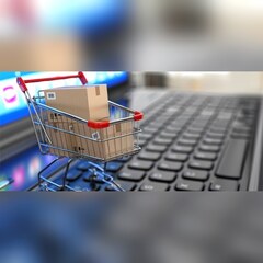Интернет-магазин батутов для бизнеса: где и как выгодно купить надувной аттракцион?