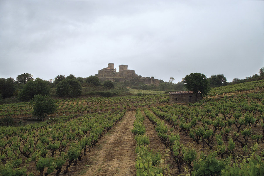Pazo Das Tapias