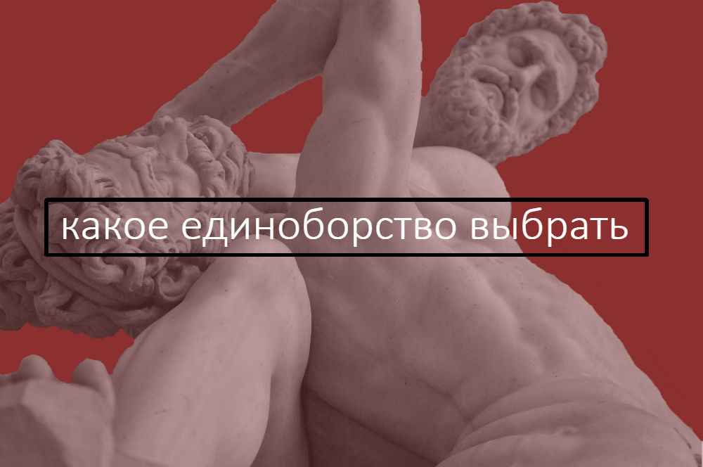 Какое единоборство выбрать ?