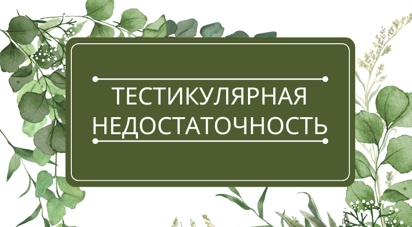 Тестикулярная недостаточность: помощь эфирных масел