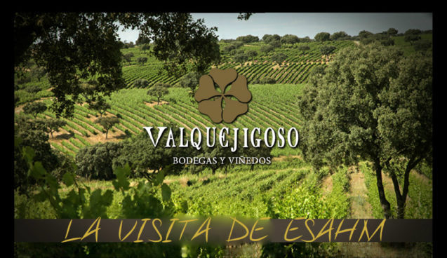 Bodega Valquejigoso