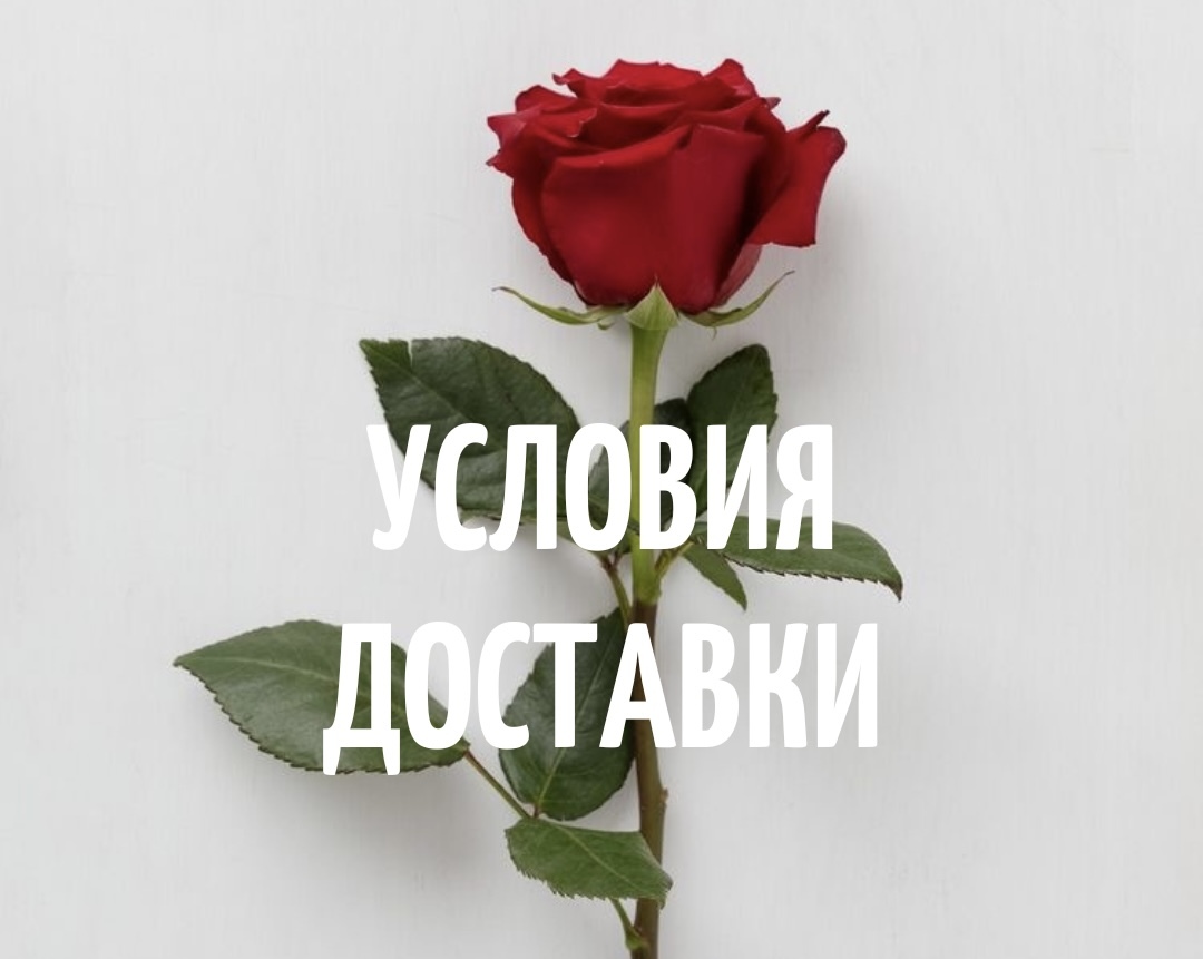Условия доставки