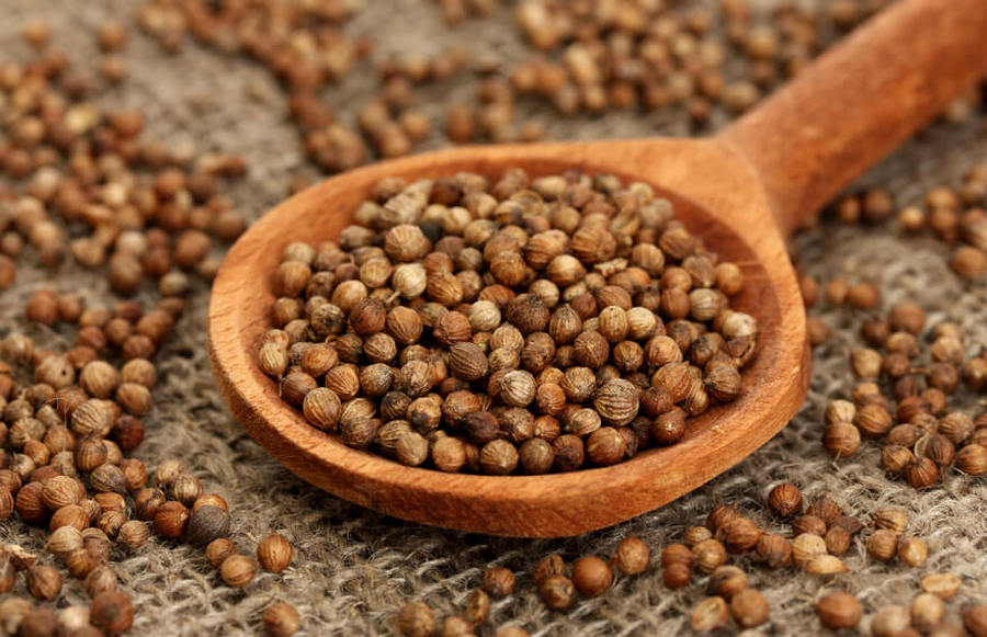 Эфирное масло кориандра (Coriandrum sativum): как его правильно использовать?
