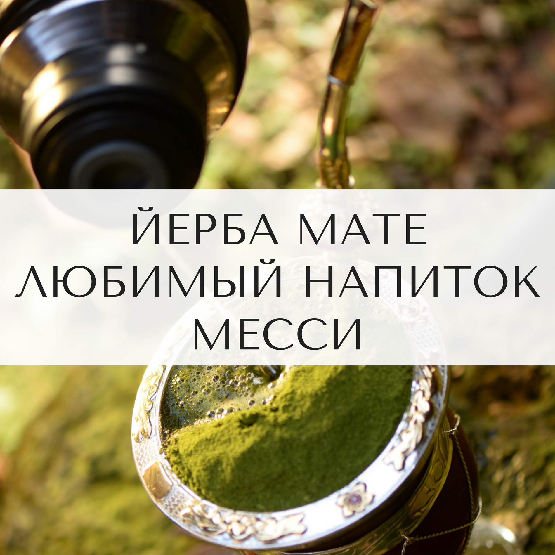 Мате: любимый напиток Месси, Марадоны и Мадонны