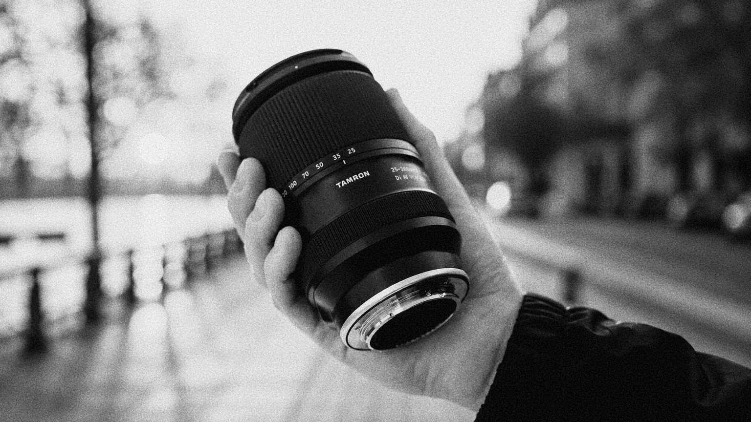 Прошивка Tamron 25–200mm улучшила возможности макросъёмки