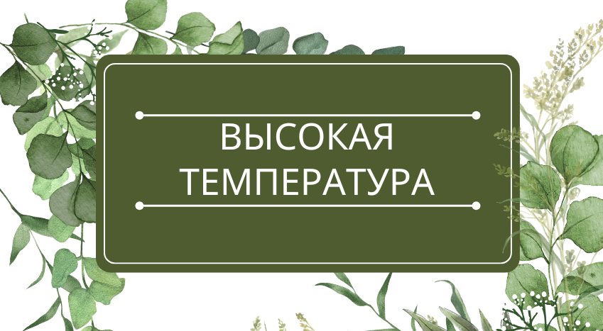 Высокая температура: помощь эфирных масел