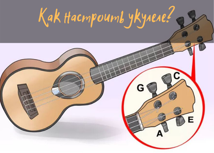 Как настроить укулеле