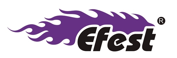 Компания EFEST