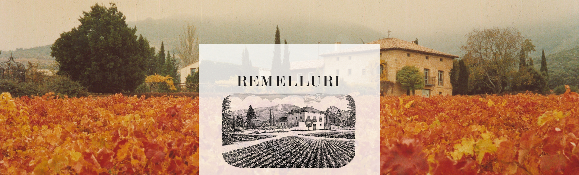 Boregas Remelluri