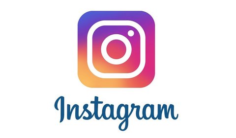 Fox Kits в Instagram