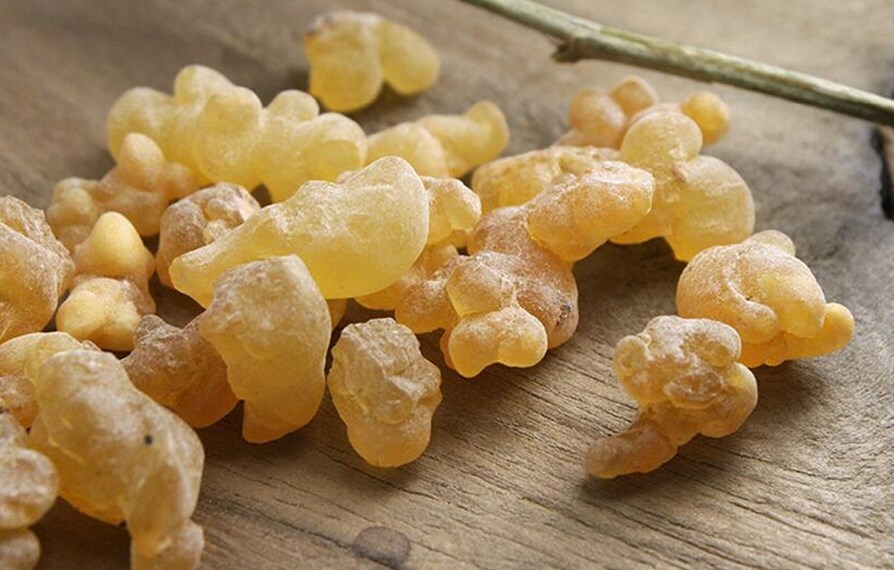 Эфирное масло ладана (Boswellia carteri): как его правильно использовать?