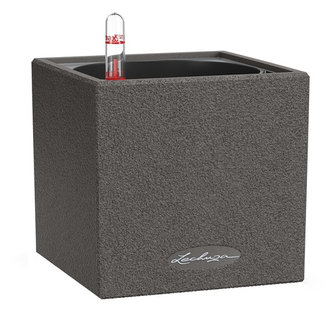 CANTO STONE