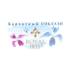 Royal Iris. Бархатный соблазн