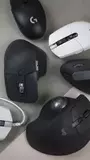 Мышки