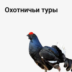 Охотничьи туры
