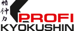 Киокушин Профи (Kyokushin PROFI)