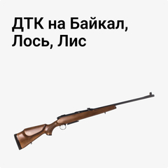 ДТК на Байкал, Лось, Лис
