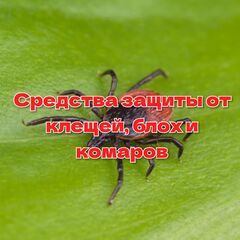 Средства защиты от клещей, блох и комаров