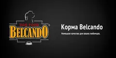 Belcando