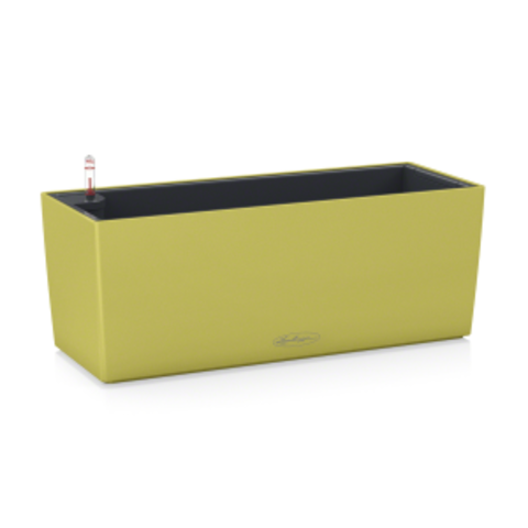 Коллекция TREND COLOR