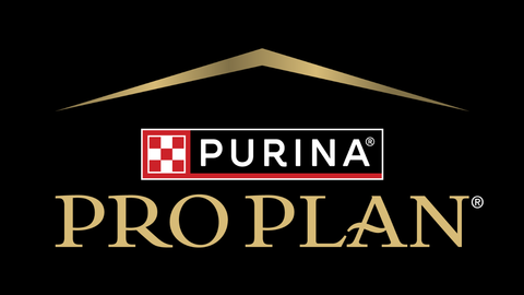 Pro plan