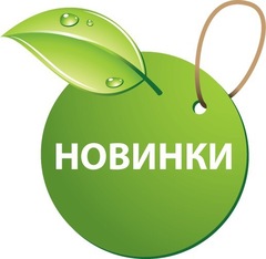 Каталог