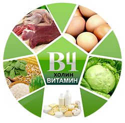 Витамин B 4