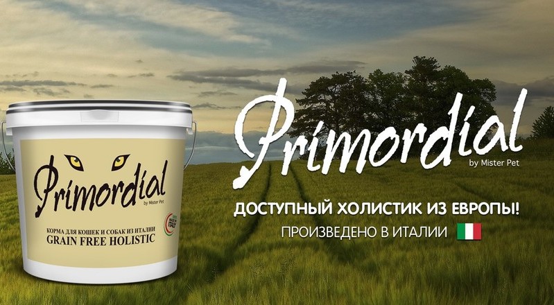 Primordial