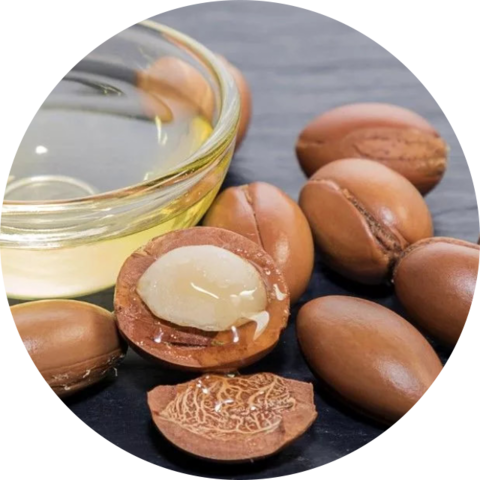 OLIVOLIO Argan