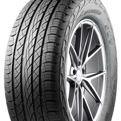 Majoris R1