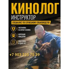 Цена занятия