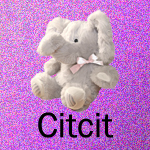 Citcit