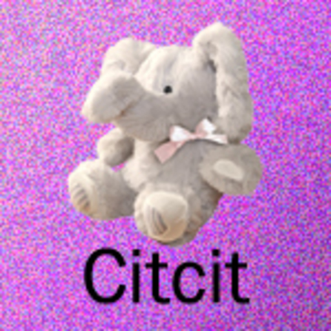 Citcit
