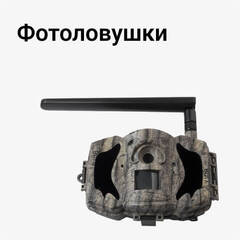 Фотоловушки