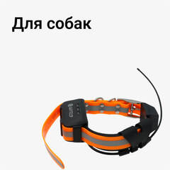 Для собак