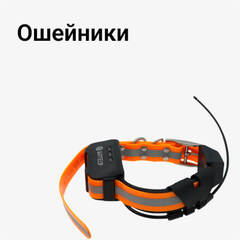 Ошейники