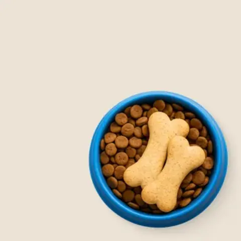 Корма