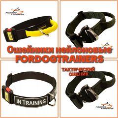 Ошейник нейлоновый быстросъемной пряжкой Fordogtrainers