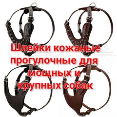Шлейка кожаная прогулочная для мощных и крупных собак Fordogtrainers