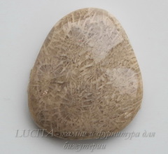 Кабошоны из Коралла