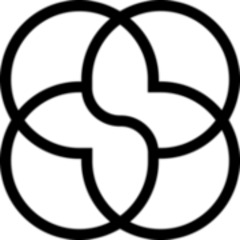 SKIN FORMULA