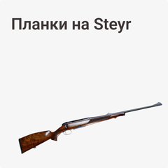 на Steyr
