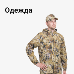 Одежда
