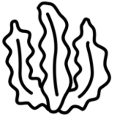 5207.png