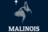 Malinois