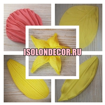 Молды